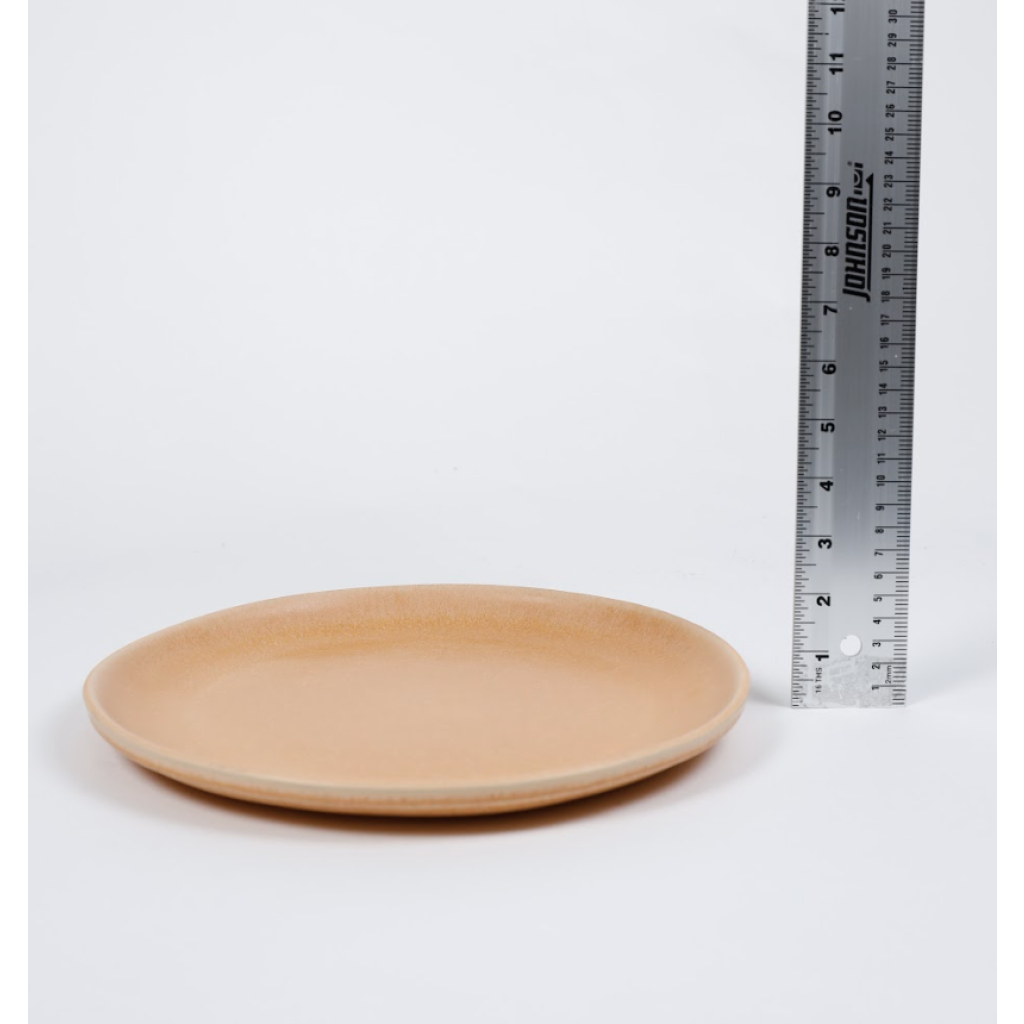 Terracotta Plate L (3)